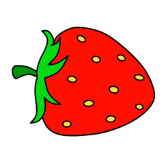 Fruit vector hand drawed