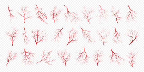 Human eye blood veins vessels silhouettes vector illustration set isolated on transparent background. Eyeballs red veins anatomical collection of human blood vessel artery health system. - obrazy, fototapety, plakaty