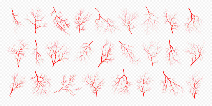 Human eye blood veins vessels silhouettes vector illustration set isolated on transparent background. Eyeballs red veins anatomical collection of human blood vessel artery health system.