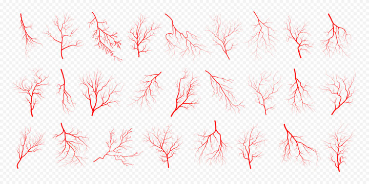 Veins Texture Photoshop