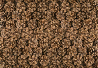 Pine Cones Texture Background, Pinecone Pattern, Natural Coniferous Banner, Spruce Pine Cone Mockup