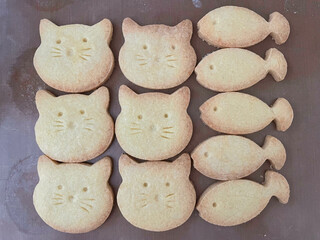 gang of cat and fish animal shaped cookies