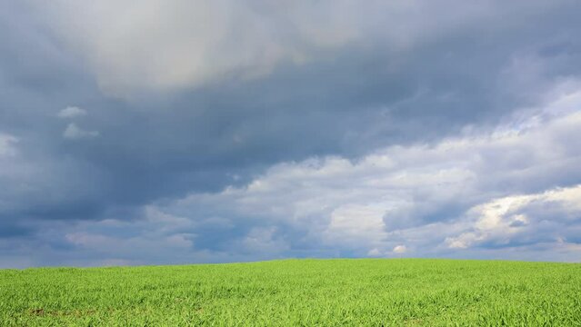 Cloud time lapse above green agriculture field. Simple nature, climate background