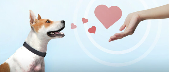 Providing love and care for dogs with the concept of caring for pets in urban communities on Blue background. copy space, banner, website - 3d rendering