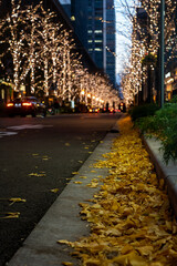 丸の内イルミネーション