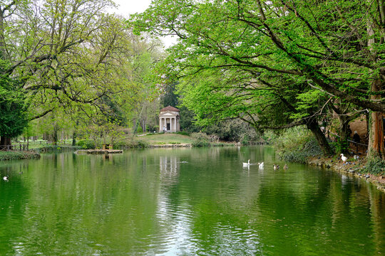 Monza: view of park of Villa Reale (Royal Villa) with animals and trees.
