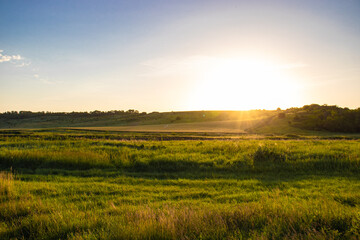 Fototapeta premium sunset over field