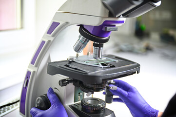 Laboratory female worker in blue gloves using microscope and examines fragments of tissue. Examination under microscope. Test sample under the microscope in laboratory. Microbiology research