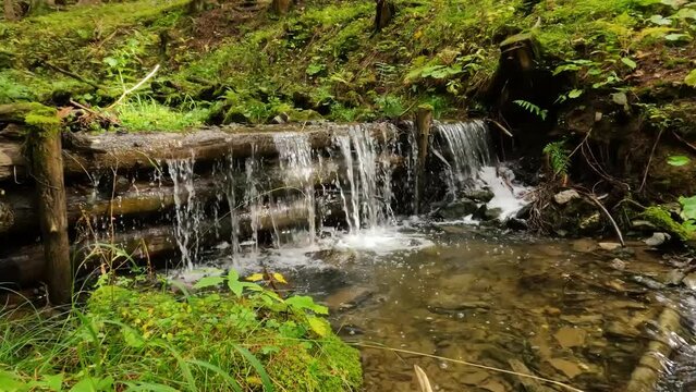 Anti-flood wooden dam in forest stream, waterfall cascade in green nature background