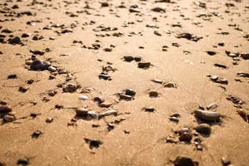 Take photos of backlit rocks on the sea sand.