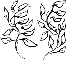 Fototapeta premium Set of Contemporary Leaves Brunch Vector Pattern