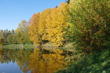 Colorful trees above the pond