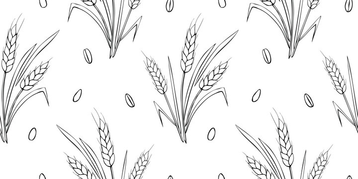 Wheat spikelets and grains, vector seamless pattern. Outline drawn in sketch style isolated. Design of print, wrapping paper, packaging on theme of bakery products, flour, harvest, thanksgiving.