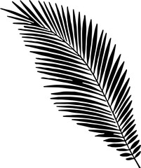 palm leaf silhouette
