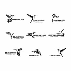 set of hummingbird logo vevtor 