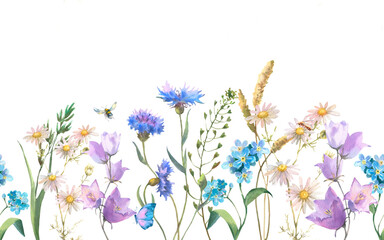 Fototapeta na wymiar Seamless border with Herbs and wild flowers, leaves, butterflies. Botanical Illustration on white background. Template with place for text.