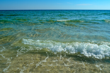 October Day at the Beach, Orange Beach, Alabama, Sand and Water Natural Patterns, Seagulls, Sea Oats, Seashells, Gulf of Mexico