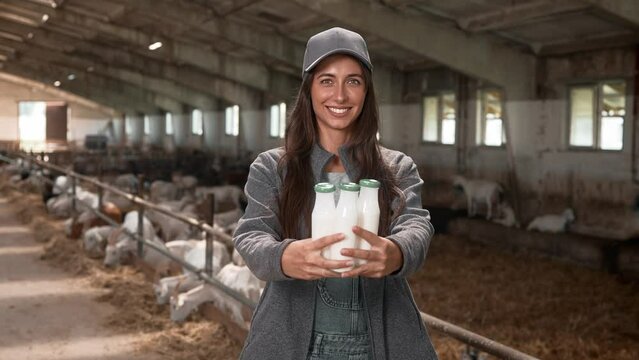 Beautiful Caucasian woman holding bottles with milk in lambs shed. Young female showing, presenting or advertising natural production. In background goats eating hay. Concept of dairy products.