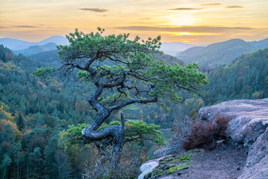 Abendstimmung im Dahner Felsenland, Pf&auml;lzerwald, Rheinland-Pfalz, Deutschland