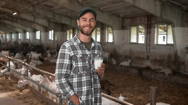 Attractive man holding glass with fresh milk and drinking natural product. Happy man smiling while enjoying dairy drink. In blurred backgroud cute goats eating hay. Organic manufacture.