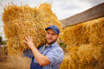 young bearded male farmer in working clothes carrying hay bale while working in countryside