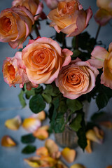 Fototapeta na wymiar orange roses in the garden