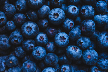 Freshly picked great bilberries, view from above. Summer food texture for background.