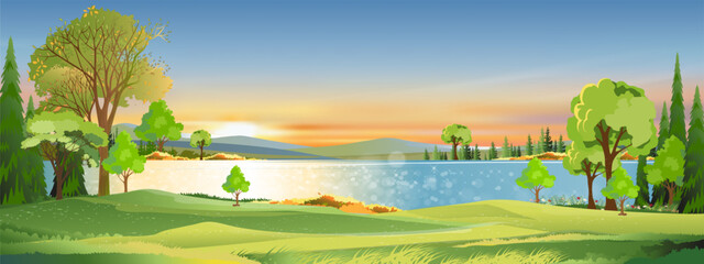 Fototapeta na wymiar Nature Spring landscape with Green Field with Cloud, Blue Sky,Vector horizon Natural rural Countryside by the lake with forest tree,Mountains in Sunny day,Cartoon Vector for Spring,Summer banner