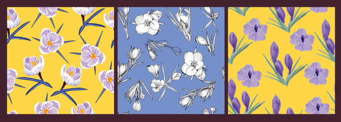 Collection of Crocus saffron illustration - 593986749
