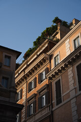 Fototapeta na wymiar Penthouse rooftop with greenery in Rome, Italy
