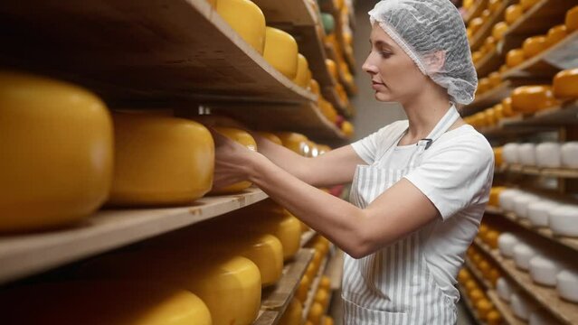 Charming Caucasian woman checking cheese quality production or controlling expiration date. Young female touching dairy products on wooden shelves. Concept of manufacturing consumable goods.