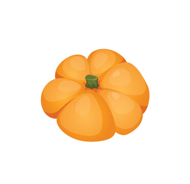 Concept Farm village field with garden pumpkin. This illustration is a flat, vector image of a concept for a cartoon-style pumpkin commonly found on a farm or garden. Vector illustration.