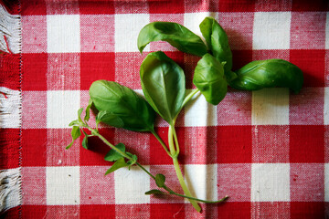 Sprigs of fresh aromatic herbs, basil, and mint, on red and white checked fabric