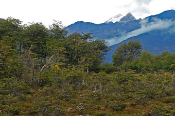 Fototapeta na wymiar Mountains around Ushuaia