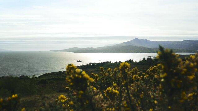 Amazing sea view surrounded by mountains from the green valley on a sunny day