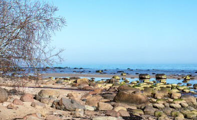 Fototapeta na wymiar A beach with rocks and the water in the background