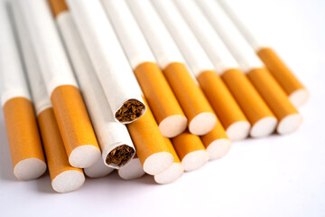 Cigarette, tobacco in roll paper with filter tube, No smoking concept.