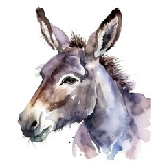 donkey isolated on white background , portrait , watercolor, farm animal, generative ai