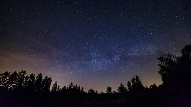 Low angle timelapse video of trees in the forest in shadow and starry sky at night