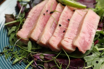 Pieces of delicious tuna steak with salad on plate, closeup
