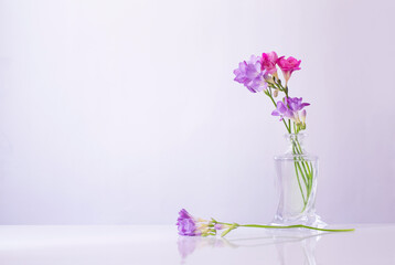 pink and purple  freesia in glass vase on white background