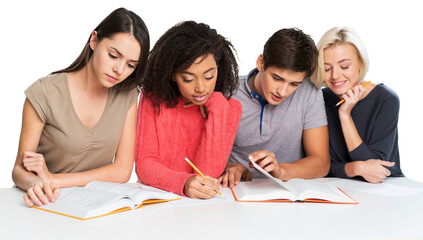 mutiracial students studying