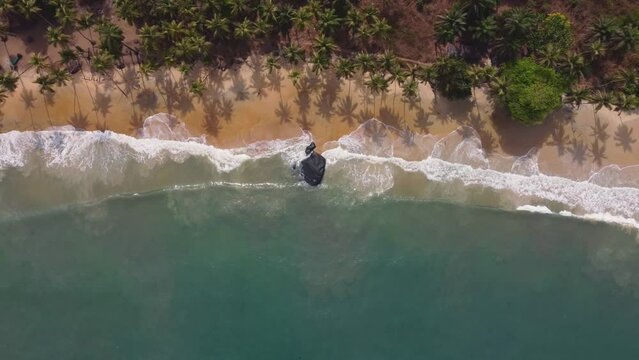 Aerial video of sea waves and tropical trees on the Bureh beach, Freetown, Sierra Leone