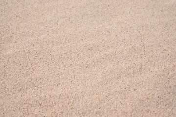 Fototapeta na wymiar Sand background. Sandy beach. Blank negative space for copy.