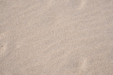 Sand background. Sandy beach. Blank negative space for copy.