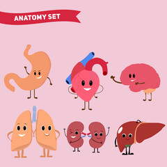 Cartoon human organs