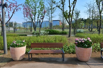 뜰, flower, 냄비, 식물, flower, 네이처, 원예, 식물, 나무, 여름, 목초, 봄, 데코, 냄비, 분재, home, 개화, 나뭇잎, 식물, 블로섬, 꽃, 성장, 화분, 화분