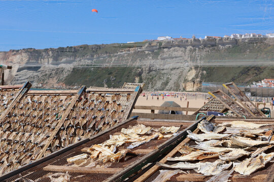 Fischtrocknung am Strand von Nazare in Portugal