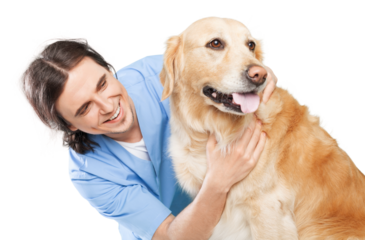 Male Veterinarian with dog on white background
