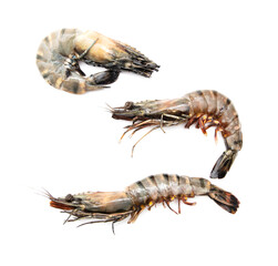 King prawns isolated on white background.